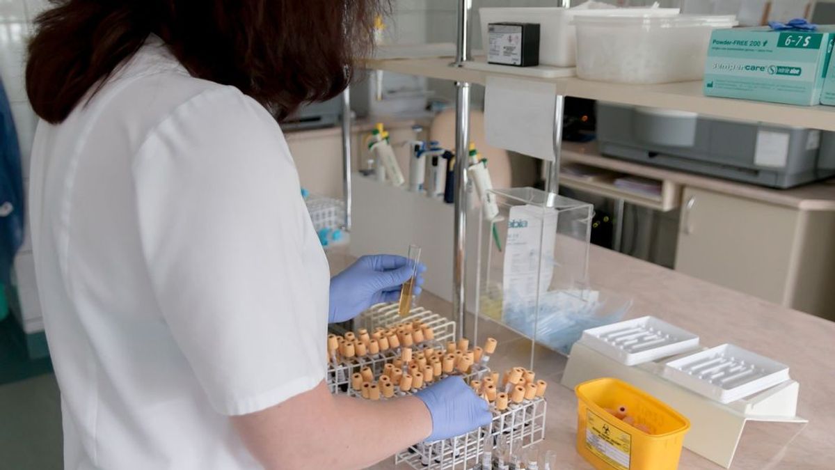 Un laboratorio español descubre nuevos marcadores para detectar la celiaquía antes de incorporar el gluten en la dieta