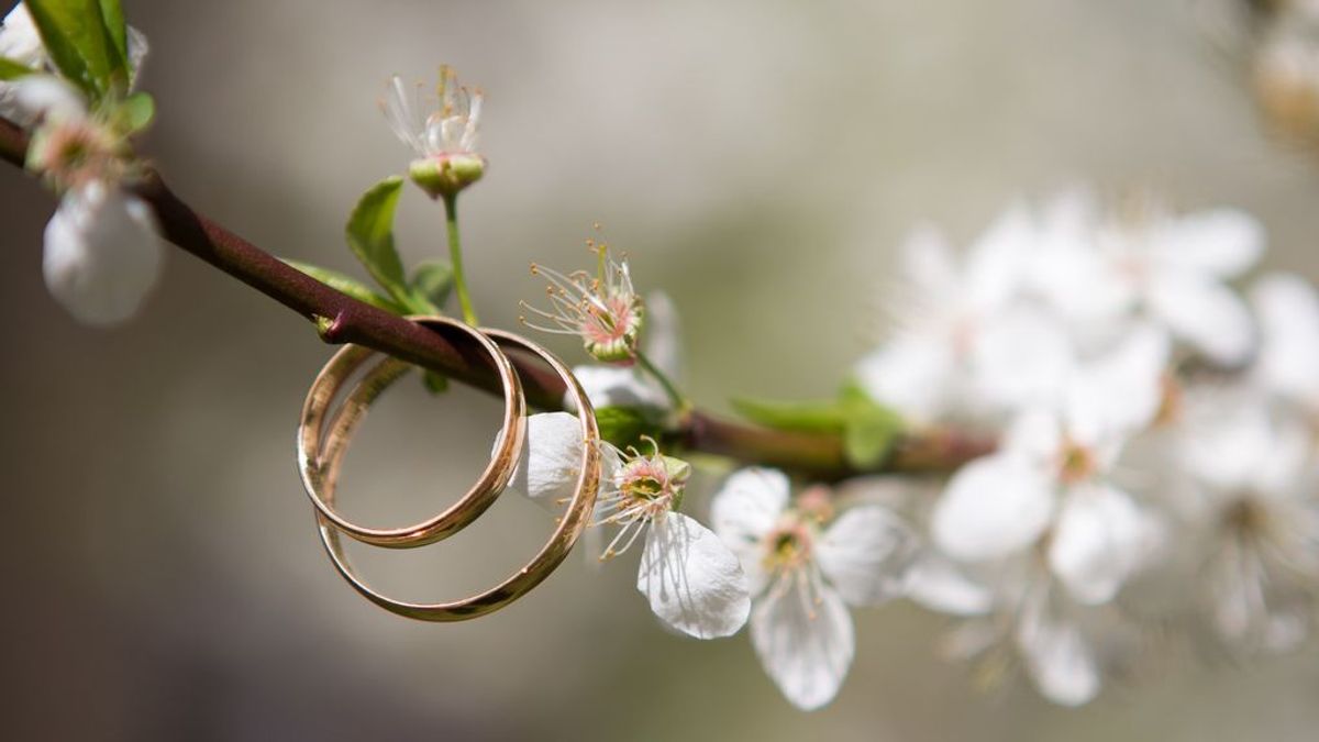 Encuentran en un bosque de Finlandia el anillo que una mujer perdió hace más de 45 años en Estados Unidos