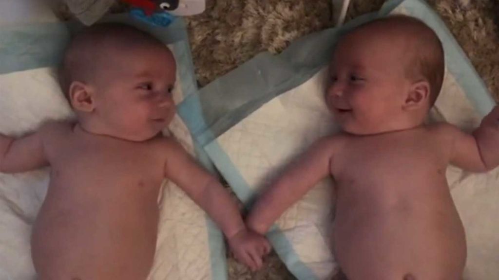 Archie y Freddie, los bebés gemelos que hablan