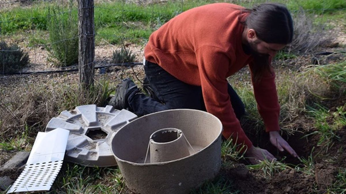 El método ‘Cocoon’: ‘dónuts’ de cartón para repoblar bosques quemados El método ‘Cocoon’: ‘dónuts’ de cartón para repoblar bosques quemados