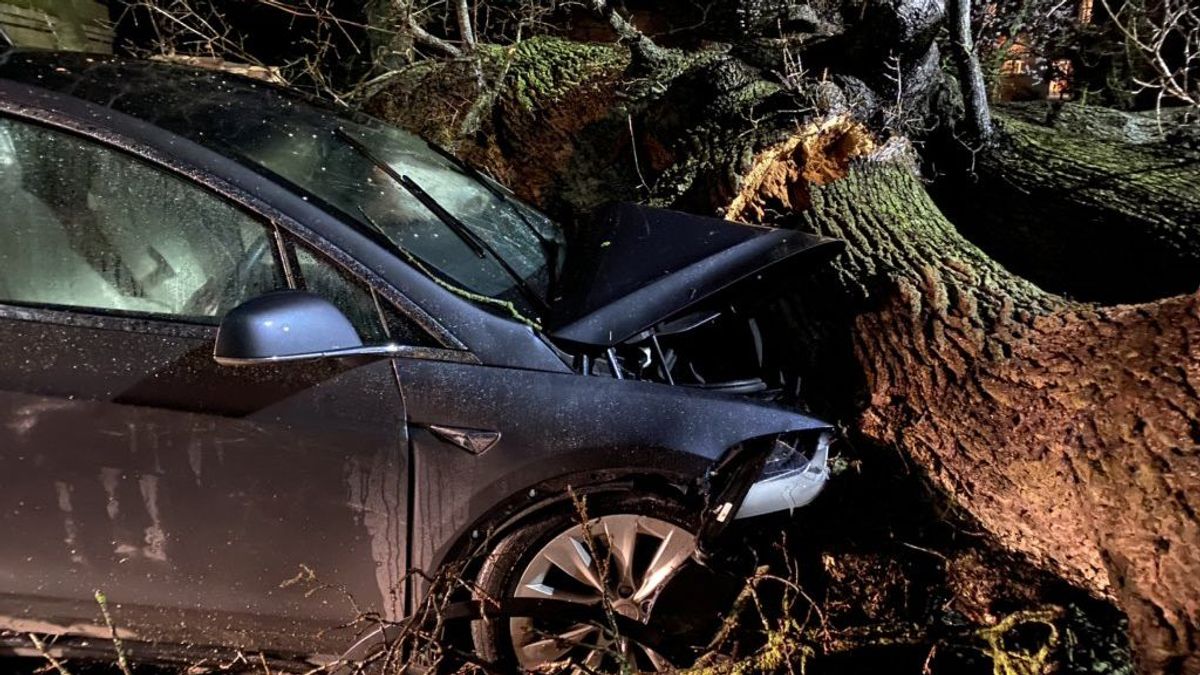 Un vehículo automático consigue salvar la vida a una familia que iba a ser aplastada por un árbol