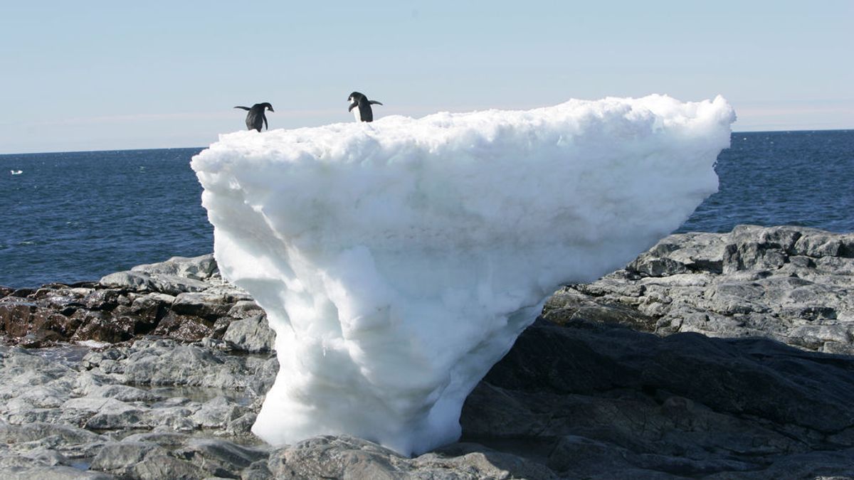 Debate en las redes en torno al récord de temperatura de 20ºC en la Antártida