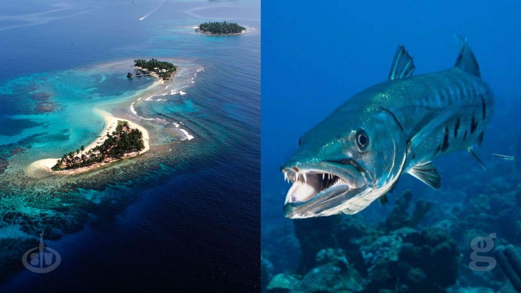 Semanas de inanición y dificultades para los náufragos