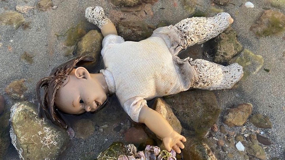 La imagen del terror del Mar Menor: 'una muñeca diabólica' con un gusano invasor sumergida en la orilla