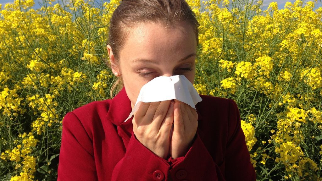 Llegan el buen tiempo y las alergias al polen: ¿Cuál es la previsión?