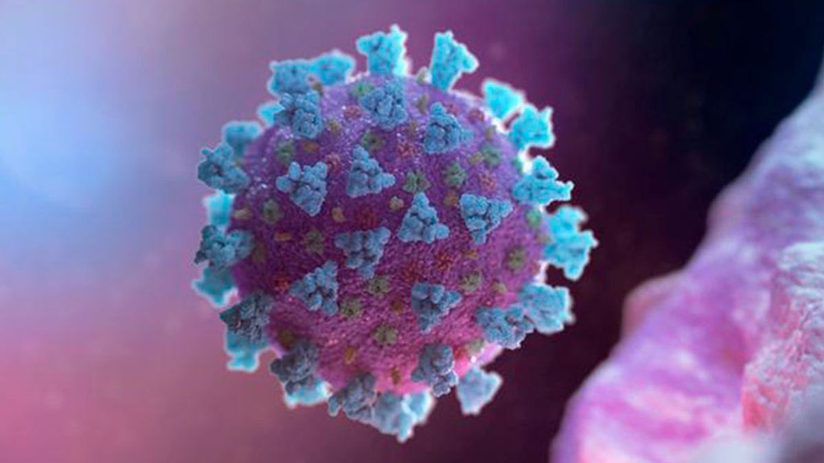 Qué es una pandemia y diferencias con una epidemia Qué es una pandemia y diferencias con una epidemia