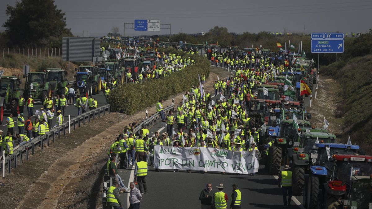 PROTESTAAGRIOK PROTESTAAGRIOK
