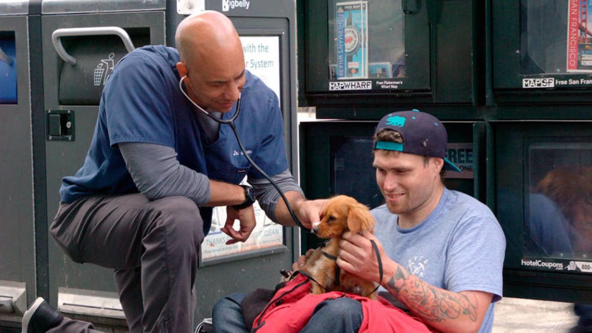 Un solidario veterinario trata a mascotas de personas sin hogar