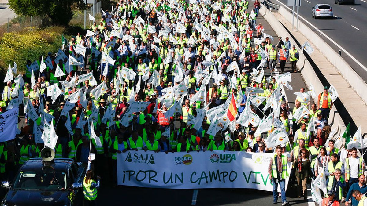 El Gobierno reduce a 20 las peonadas exigidas para acceder al subsidio por desempleo y a la renta agraria El Gobierno reduce a 20 las peonadas exigidas para acceder al subsidio por desempleo y a la renta agraria