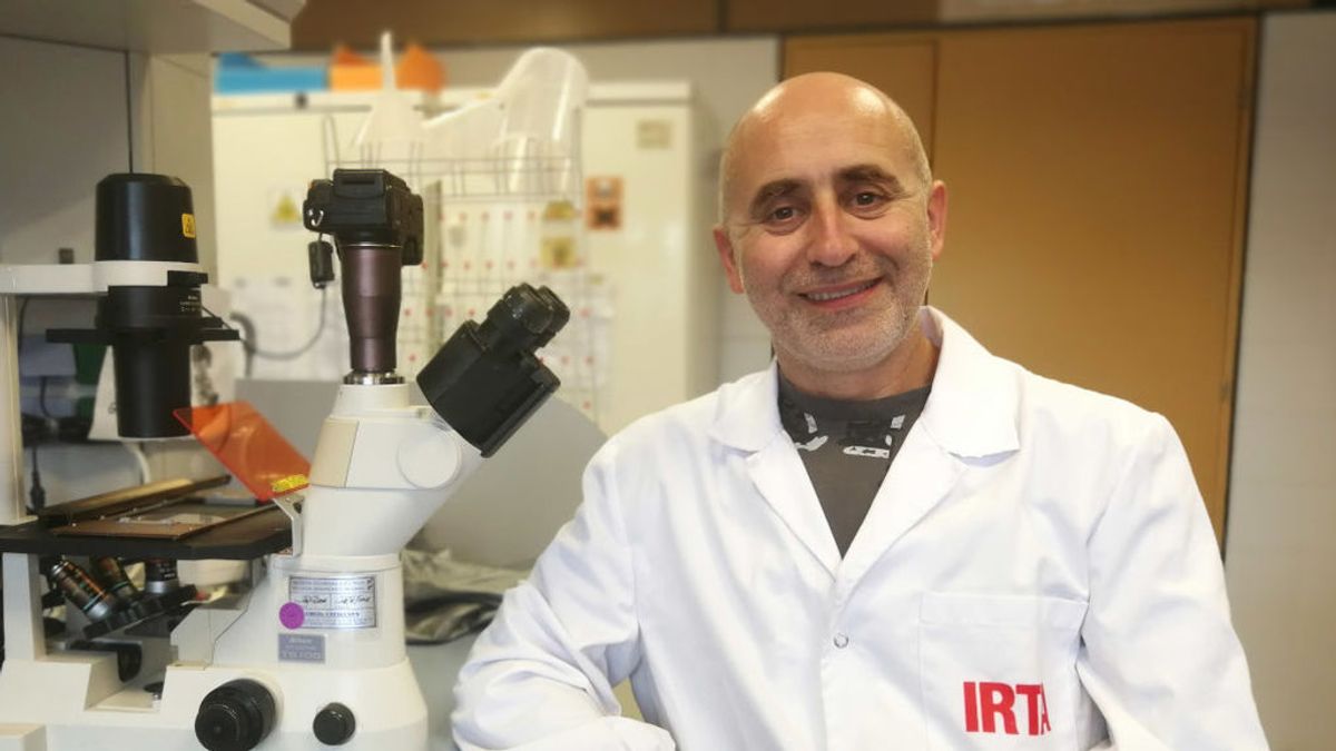 Joaquim Segalès sobre la vacuna del coronavirus: “La investigación necesita tiempo, no se puede hacer de un día para otro” Joaquim Segalès sobre la vacuna del coronavirus: “La investigación necesita tiempo, no se puede hacer de un día para otro”
