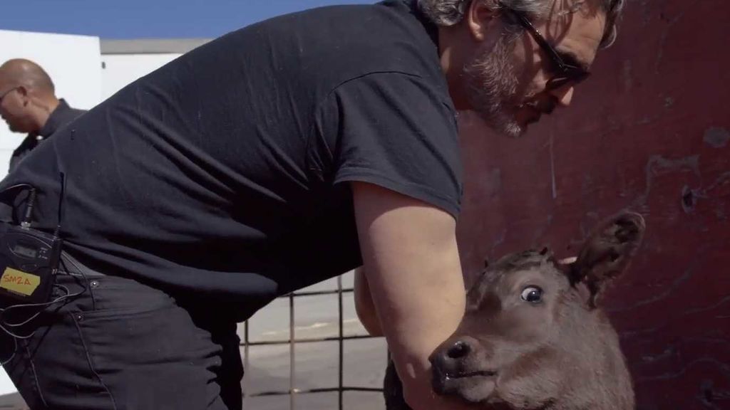 Joaquin Phoenix salvando un becerro en Los Ángeles