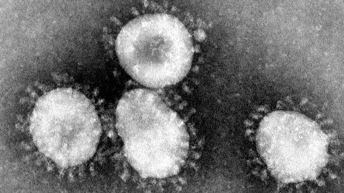 Los cuatro tipos de gripe que deberías conocer y cómo nos afectan