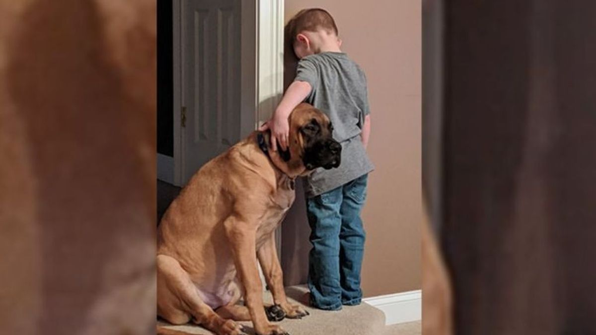 Un perro acompaña a un niño castigado de cara a la pared