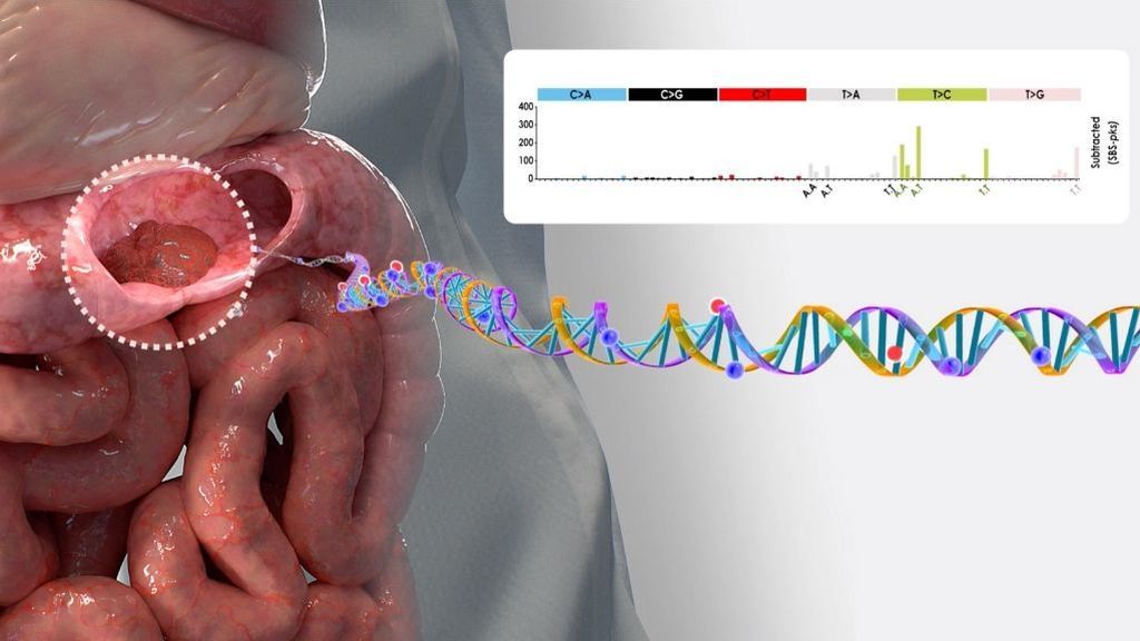 Avance contra el cáncer: descubren que una bacteria común podría causar mutaciones genéticas que desarrollan cáncer