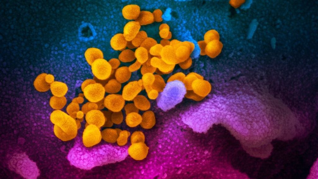 Bruselas estima que el coronavirus es un riesgo “bajo” para Europa Bruselas estima que el coronavirus es un riesgo “bajo” para Europa