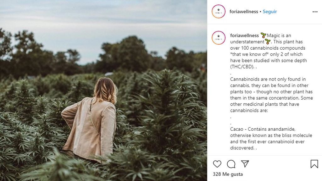 Las marcas están empezando a ver las propiedades de esta planta para aliviar dolores