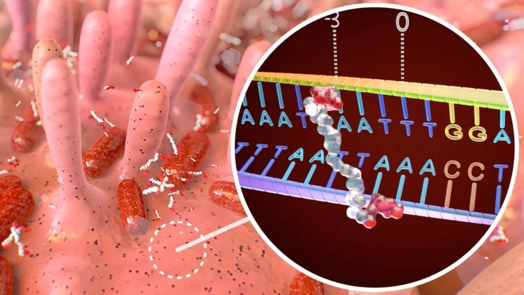 Avance contra el cáncer: una bacteria común podría ser la causa de las mutaciones genéticas que desarrollan cáncer de colon Avance contra el cáncer: una bacteria común podría ser la causa de las mutaciones genéticas que desarrollan cáncer de colon