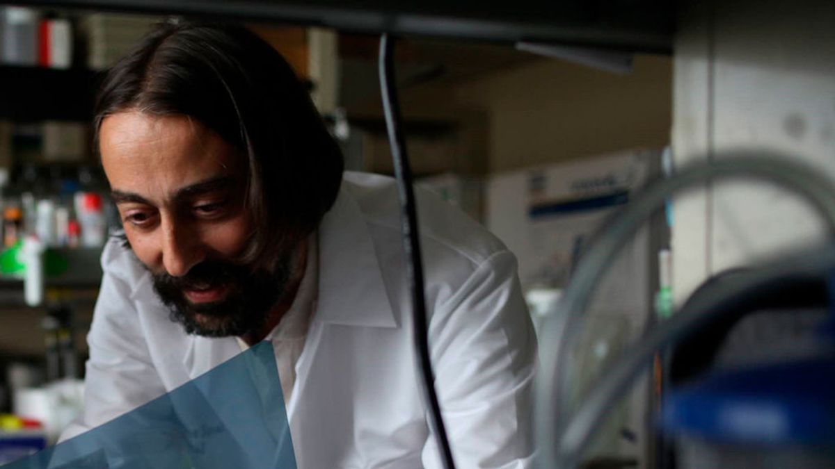 Adolfo García-Sastre, virólogo: 'El coronavirus infectará a más gente que la gripe y por eso puede causar un millón de muertos en el mundo' Adolfo García-Sastre, virólogo: 'El coronavirus infectará a más gente que la gripe y por eso puede causar un millón de muertos en el mundo'