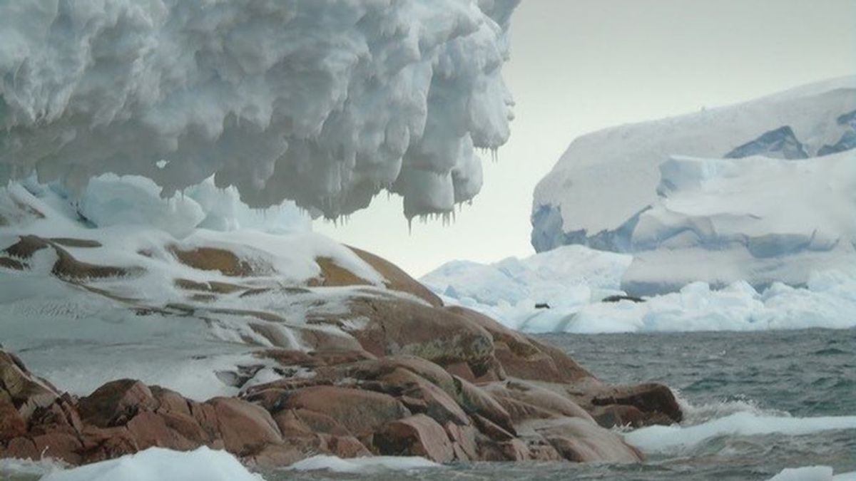 Una isla que no está en los mapas antárticos ha aparecido frente al glaciar de Pine Island
