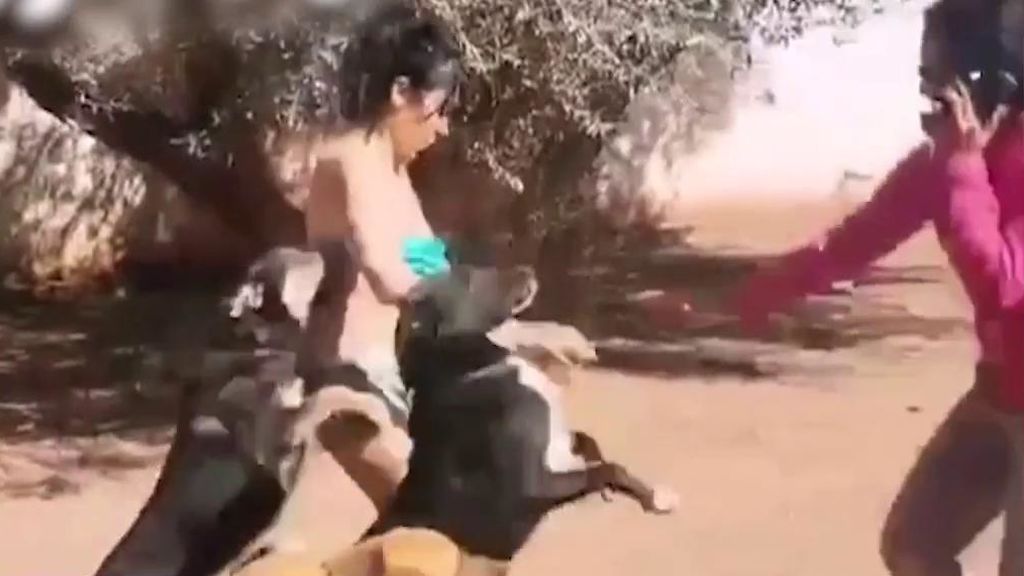 Maite Galdeano, a punto de ser atacada por unos perros en su viaje a Marruecos