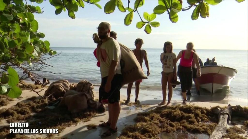 Los siervos llegan a su playa