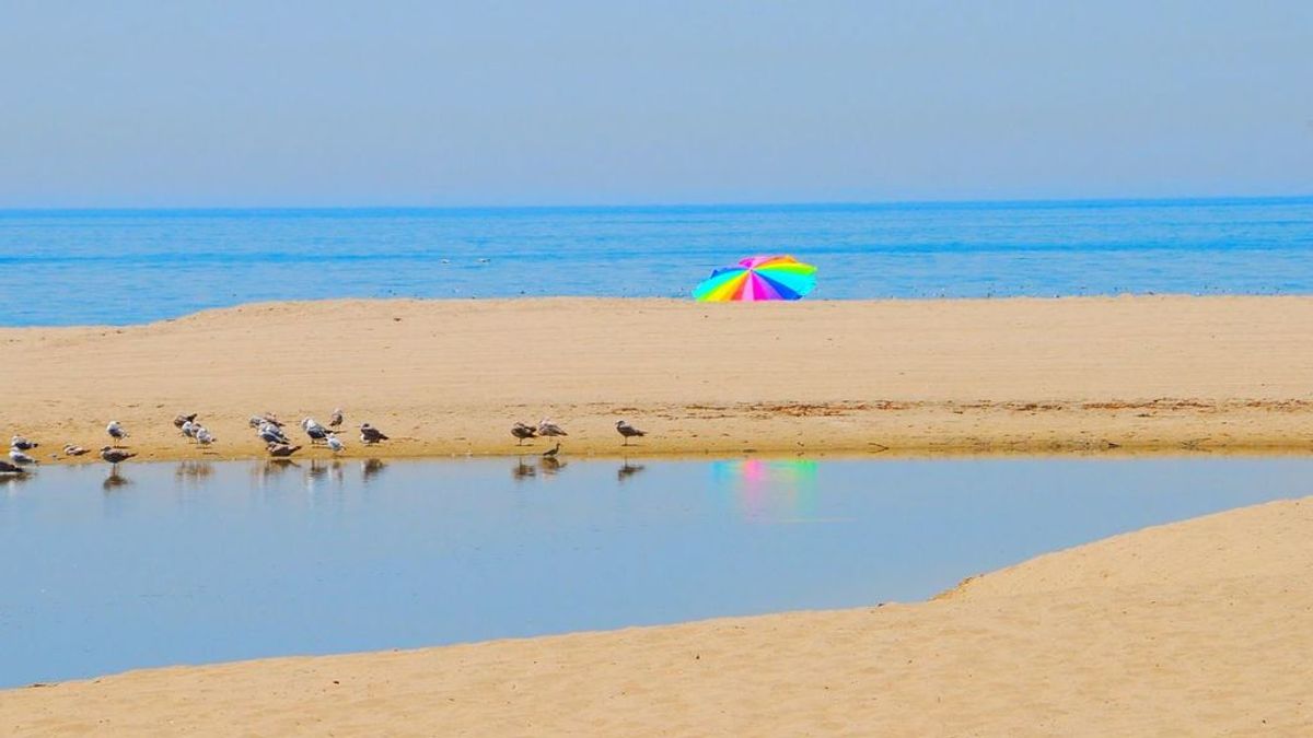 La mitad de las playas del mundo podrá desparecer en 80 años La mitad de las playas del mundo podrá desparecer en 80 años
