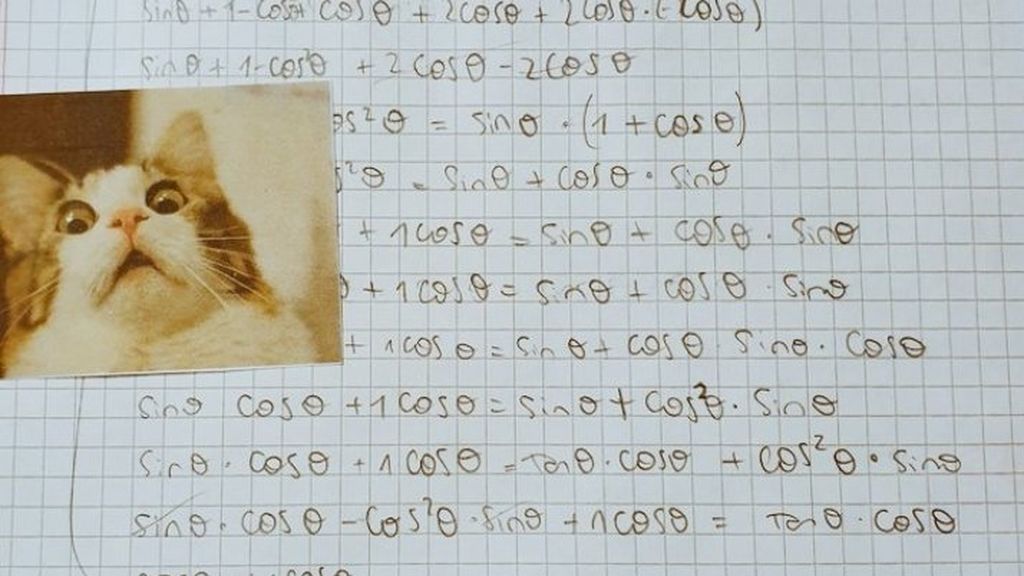 El profe que arrasa por corregir exámenes de matemáticas con memes: “Absolutamente genial”