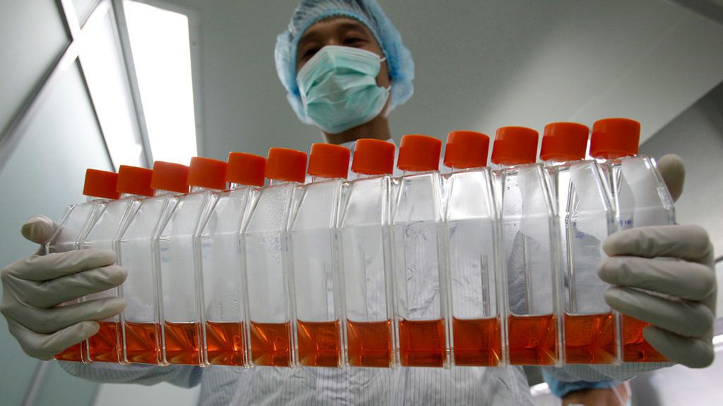 El cambio climático no tiene relación con este coronavirus, pero sí traerá nuevos virus y más virulentos El cambio climático no tiene relación con este coronavirus, pero sí traerá nuevos virus y más virulentos