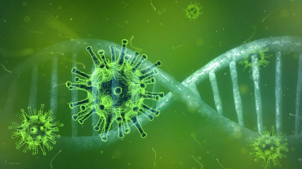 Científicos chinos descubren cómo el coronavirus entra en 