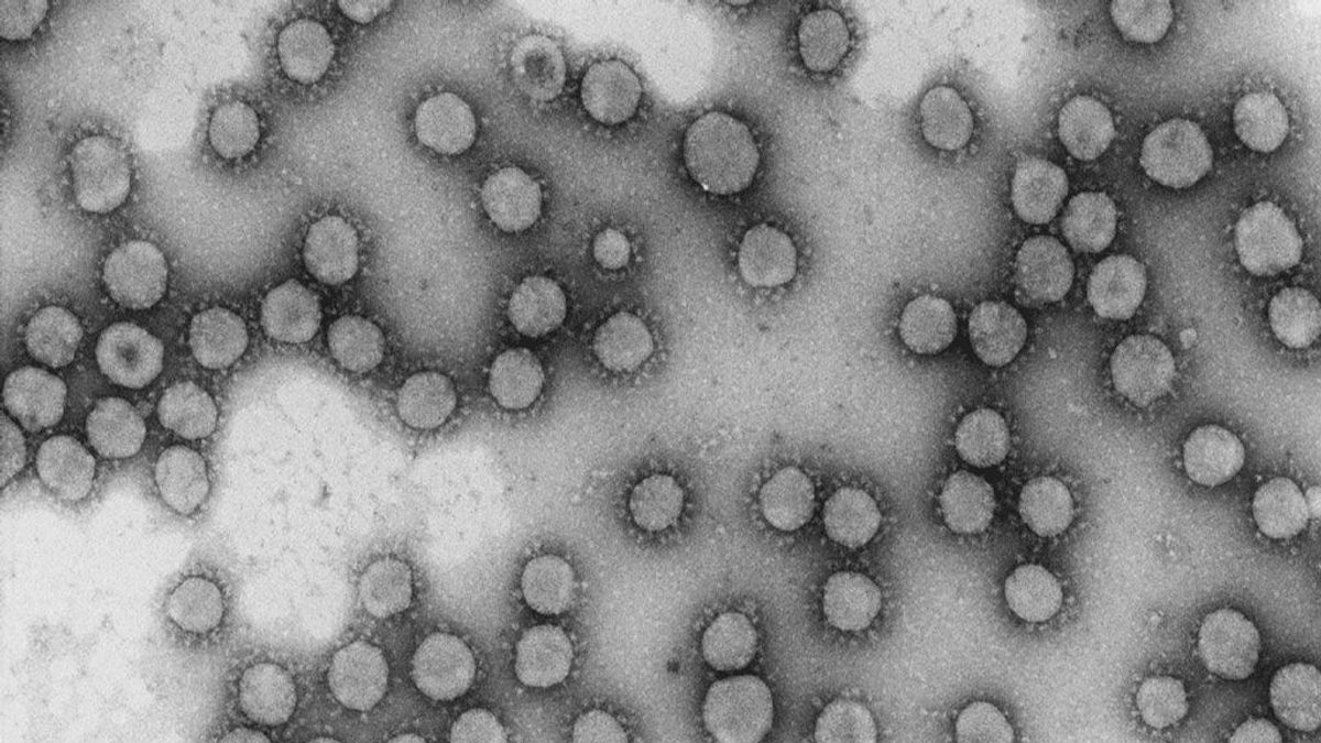 Europea financiará dos proyectos españoles para detectar el coronavirus en media hora Europea financiará dos proyectos españoles para detectar el coronavirus en media hora