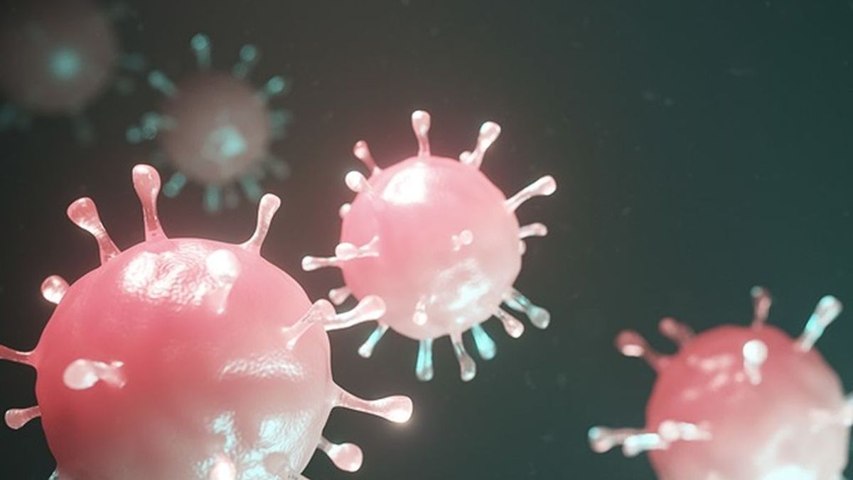 Los casos de coronavirus en España llegará a su pico en  "4 o 6 semanas" y luego caerá