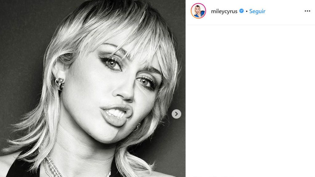 5 mullet - mileycirus