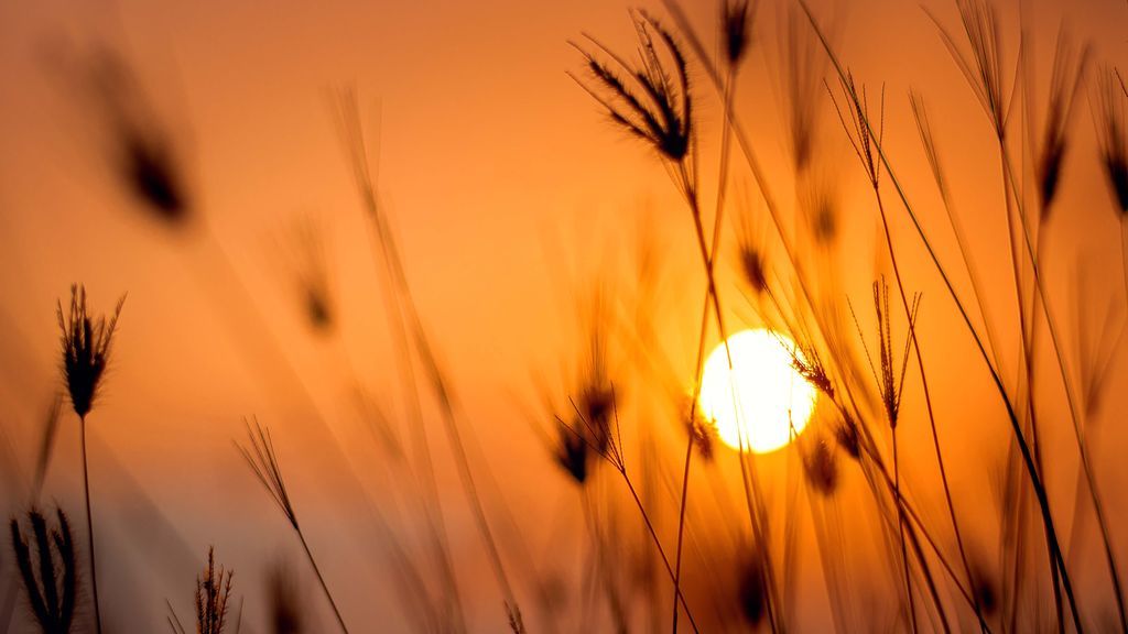 Llega el calor, el aliado más esperado en la lucha contra el coronavirus Llega el calor, el aliado más esperado en la lucha contra el coronavirus
