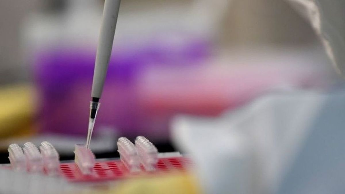 La Fundación Gates, Mastercard y Wellcome destinarán 110 millones para el coronavirus La Fundación Gates, Mastercard y Wellcome destinarán 110 millones para el coronavirus