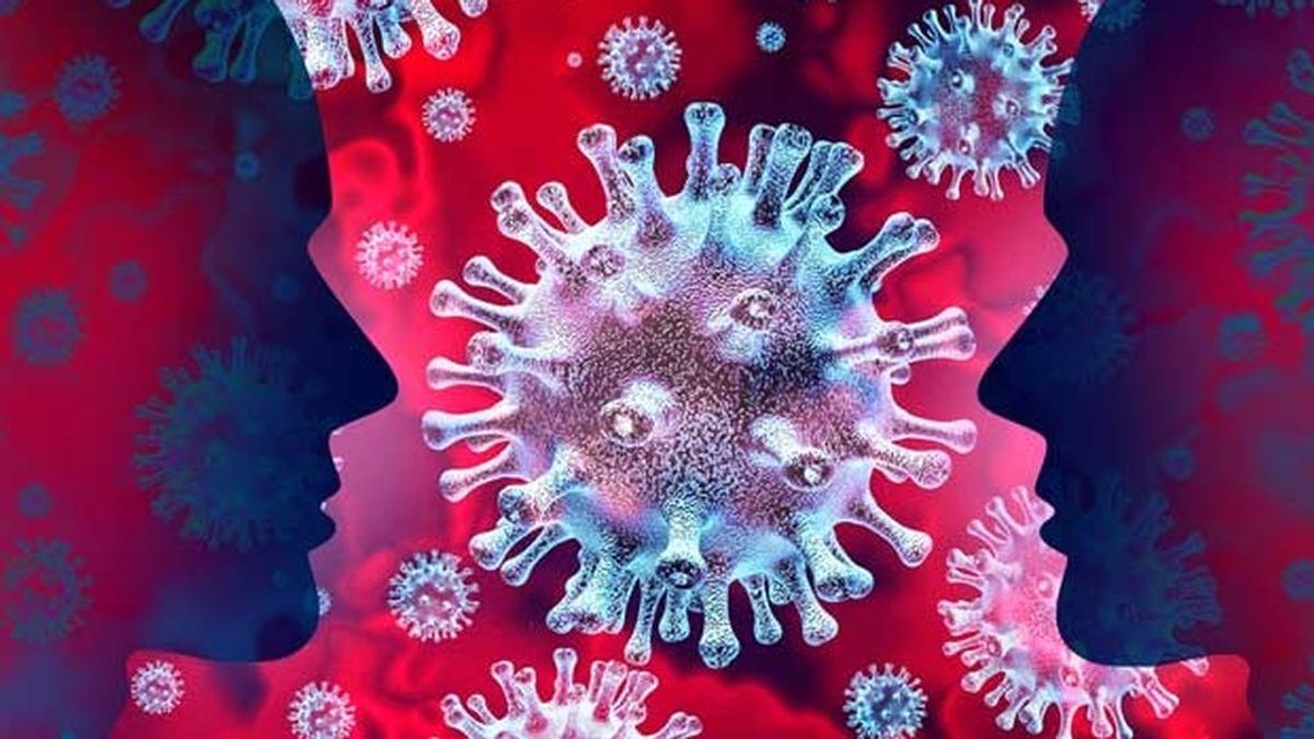 El coronavirus resiste al calor y permanece media hora en el aire El coronavirus resiste al calor y permanece media hora en el aire