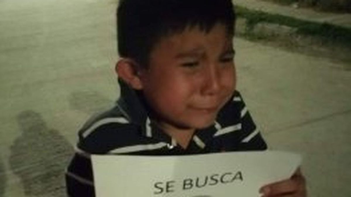 Con lágrimas en los ojos y un cartel, un niño busca a su perro desaparecido por las calles