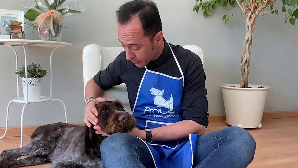 Lenin necesita un nuevo hogar: en ‘Sálvame’ te contamos cómo adoptarle