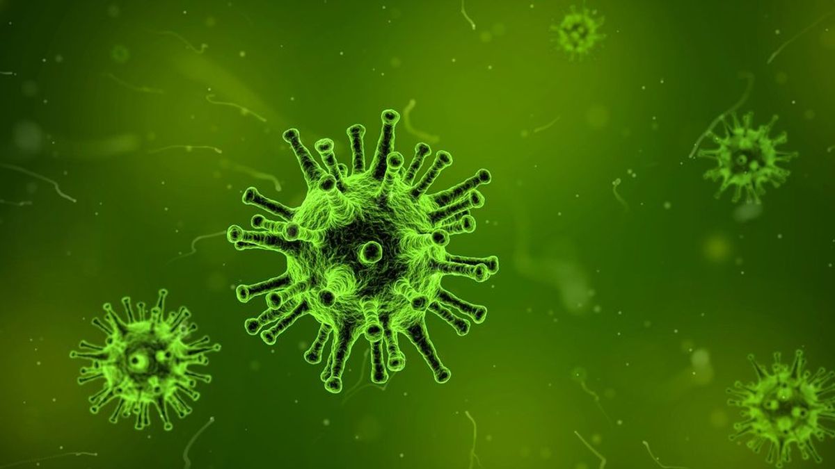 Investigadores británicos prueban con éxito en ratones una vacuna contra el coronavirus