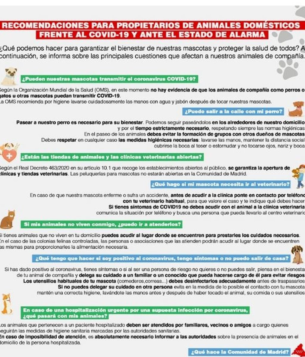 Consejos para dueños de mascotas