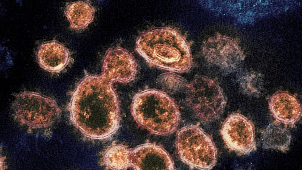 Lo último del coronavirus: se mantiene 'vivo' en el aire pero le afectan el calor y la humedad