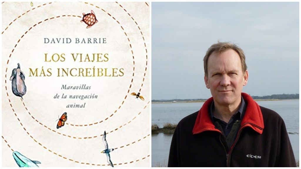 'Los viajes más increíbles' de David Barrie.