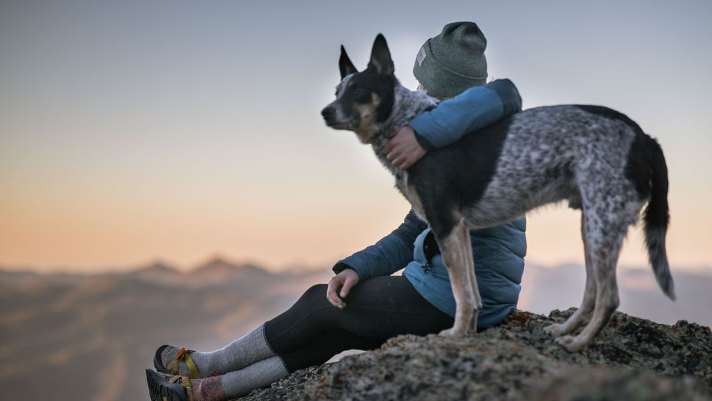 Casarte con tu perro puede estar bien, pero mejor dale todo tu amor