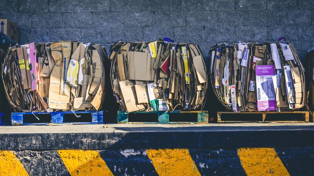 Profesiones del futuro: me importa nuestro planeta y quiero ser técnico de reciclaje
