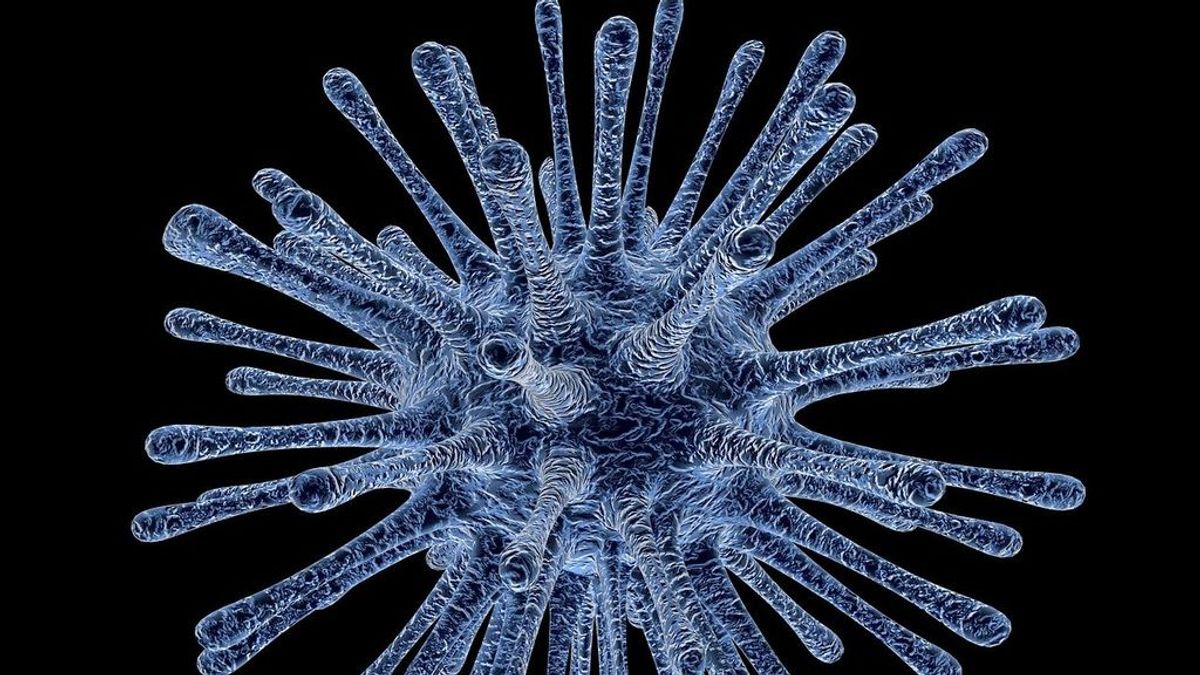 Tres cosas que podrían matar al coronavirus