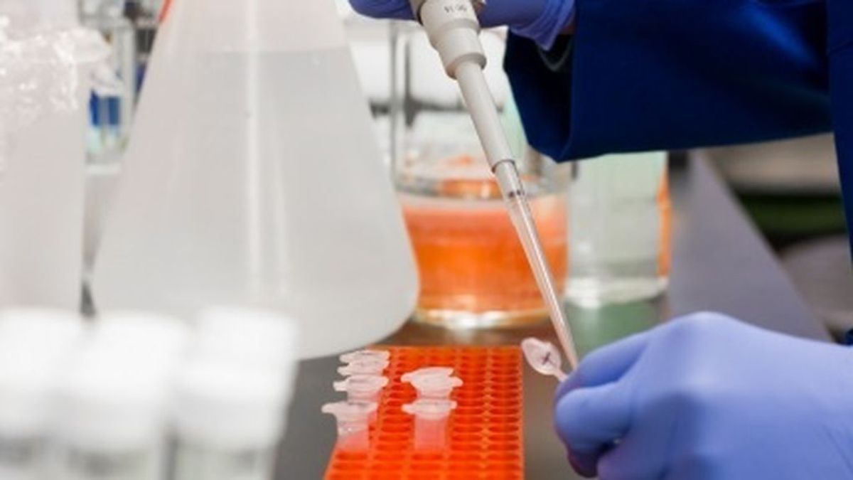 Los kits para el coronavirus de una empresa Canvax Los kits para el coronavirus de una empresa Canvax