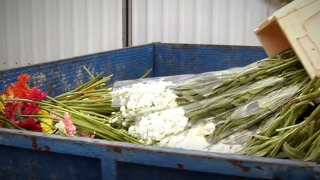 Flores en la basura