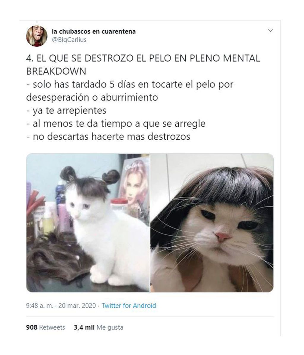 ¿Qué personalidad eres en la cuarentena?