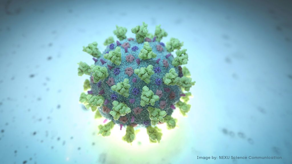 China y Corea del Sur registran nuevos "importados" de coronavirus China y Corea del Sur registran nuevos "importados" de coronavirus