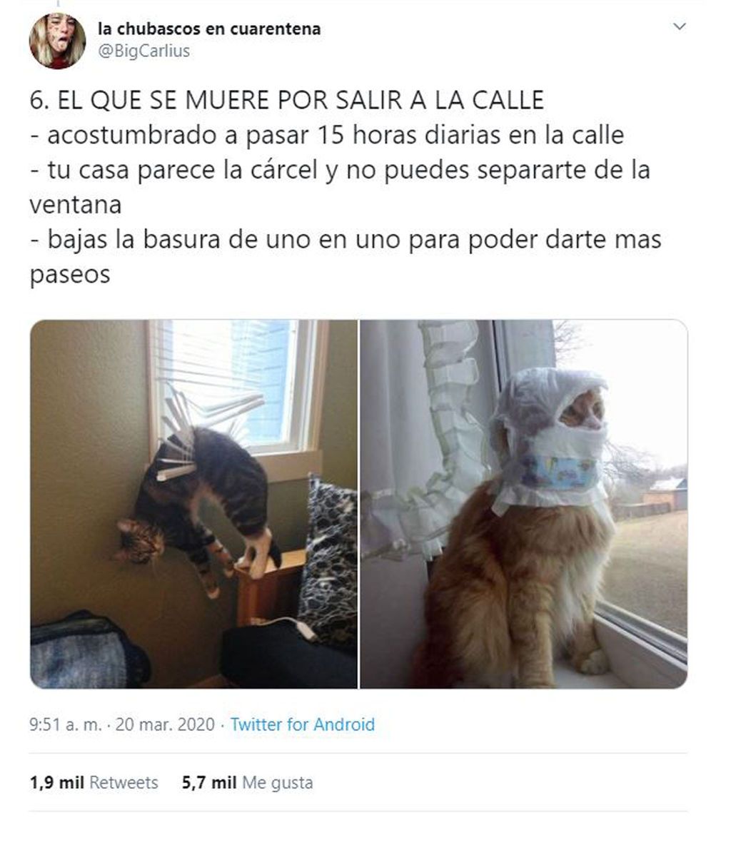 ¿Qué personalidad estás siendo en la cuarentena?