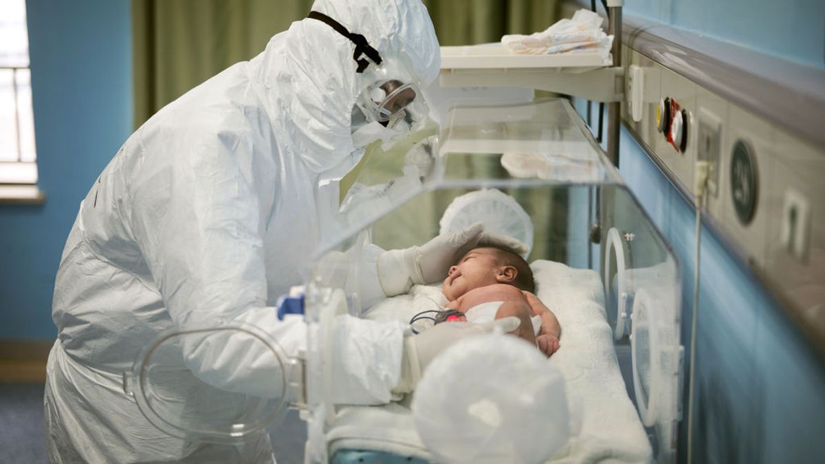 "Es una bomba de relojería": el estudio que predijo en 2007 la pandemia del coronavirus "Es una bomba de relojería": el estudio que predijo en 2007 la pandemia del coronavirus